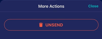More Actions - Unsend Chat